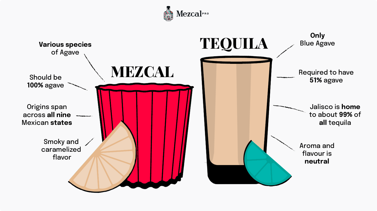 Mezcal vs Tequila: The Ultimate 2026 Guide to Understanding Mexico's Signature Spirits