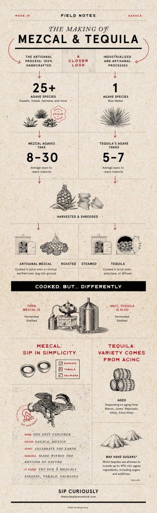 Tequila vs Mezcal: Traditional pit roasting vs. modern autoclave agave cooking.