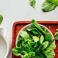 fresh mint leaves