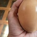 large eggs