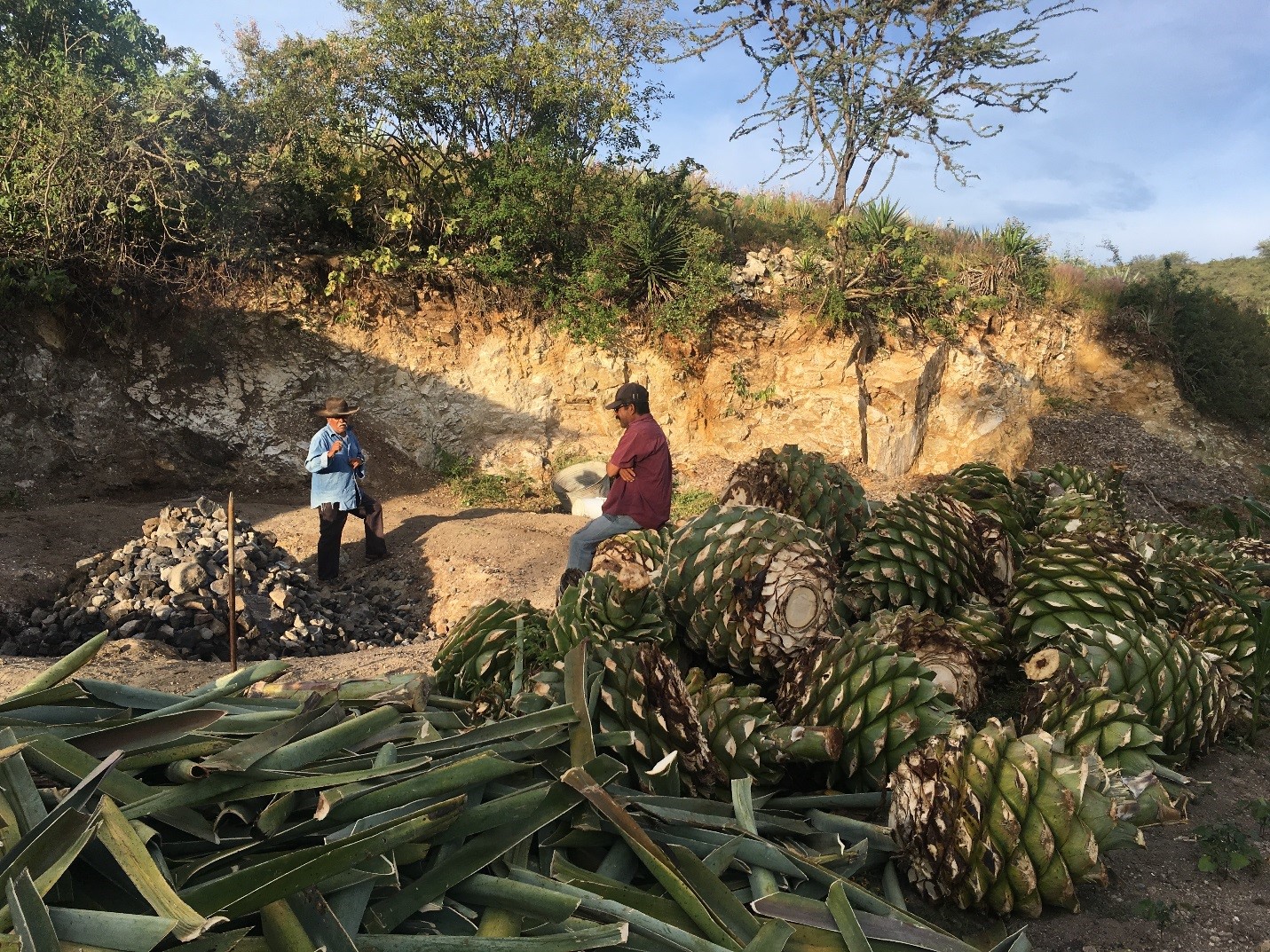Agave Cooking Clay Oven