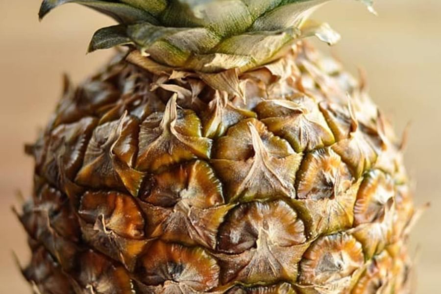 fresh pineapple