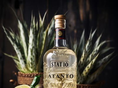 Santo Tequila: Uncovering the Delight and Tradition Behind the Brand