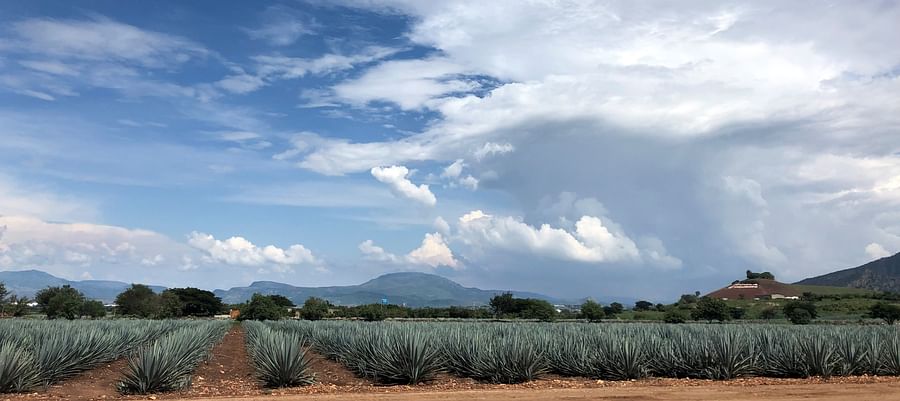 Map of Tequila town in Jalisco, Mexico