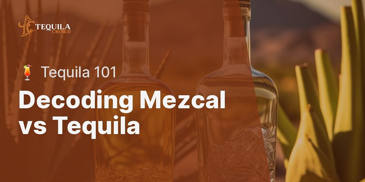 Demystifying Mezcal and Tequila The Key Differences Every Tequila